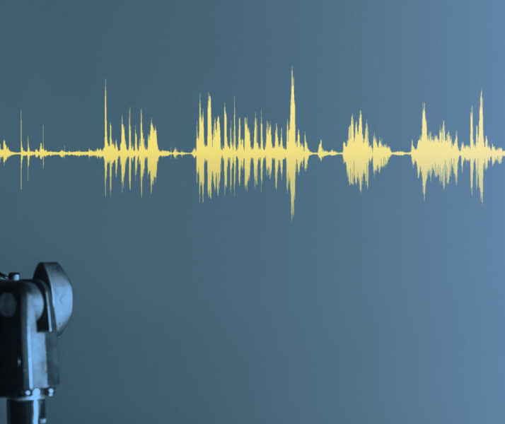 Icon What Are the Top Podcast Networks in 2025?